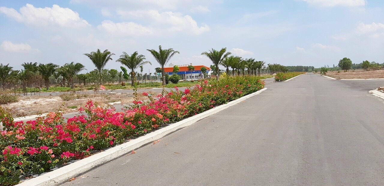 thực tế mega 2